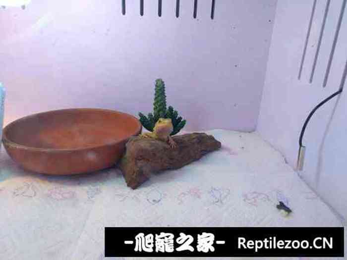 025008k72u2hyshbyh8hzv.jpg