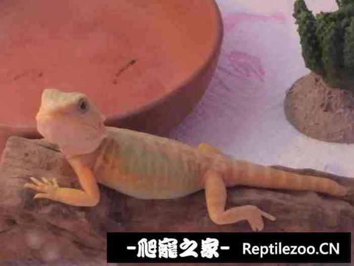 025020r9sy9y0ouooyulhs.jpg