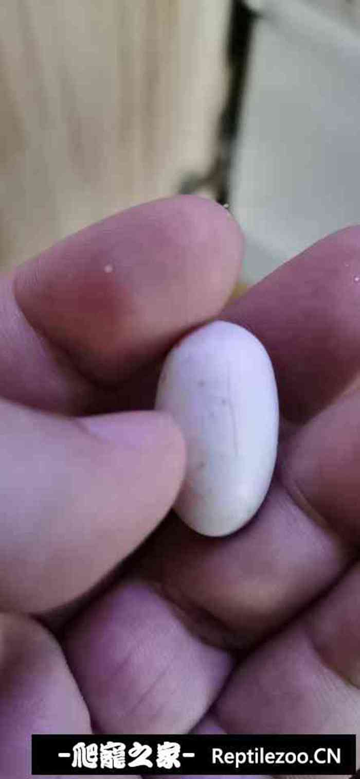 040054flznd9pomx96kkpk.jpg
