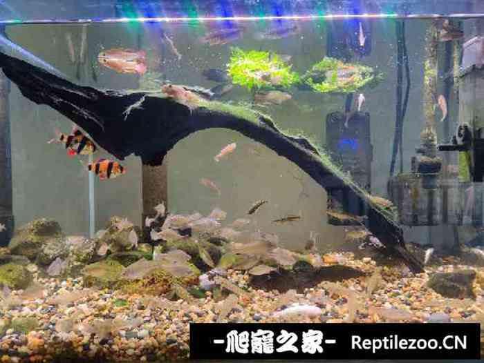 040137jc91xaph0riojc9x.jpg