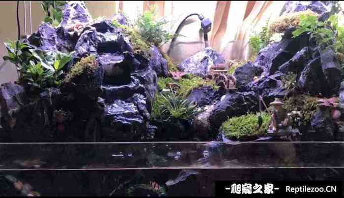 040308ad5a5paksodhd5wk.jpg