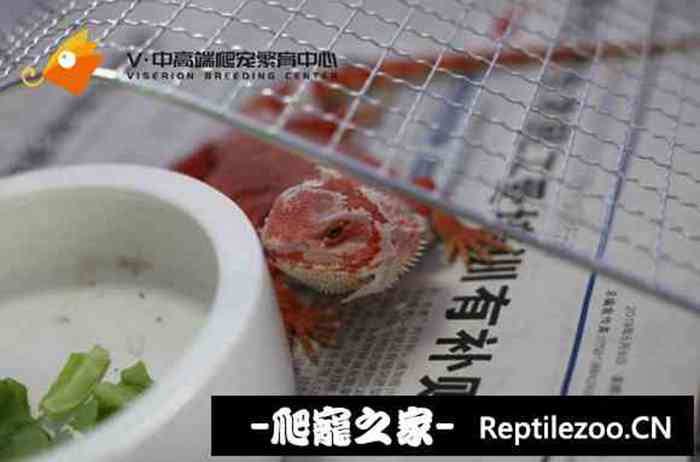 072256a1beb10xej7zcr1f.jpg