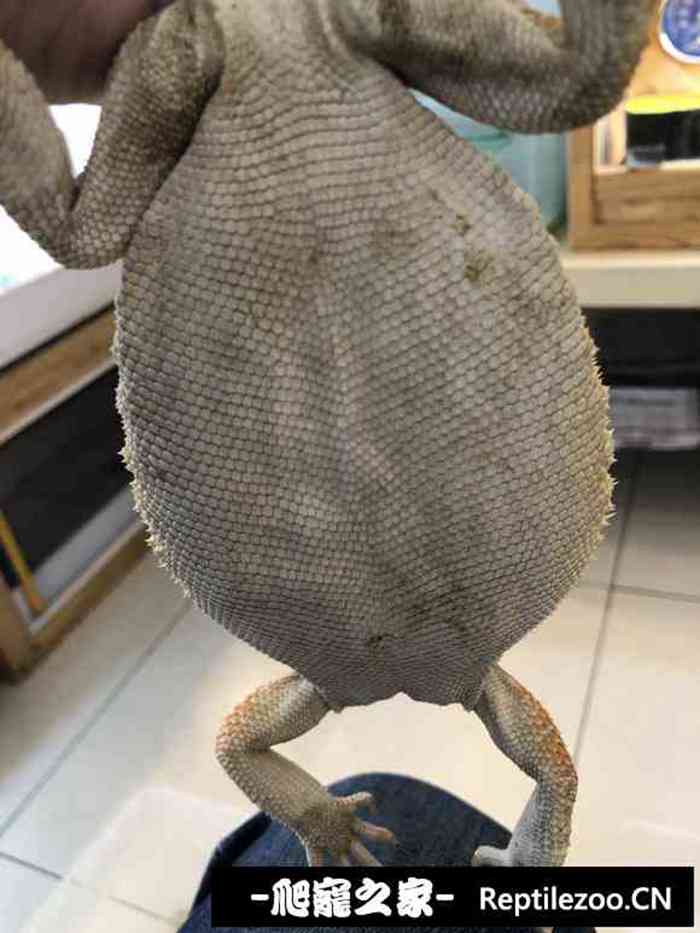 104559pz8438k799ye839h.jpg