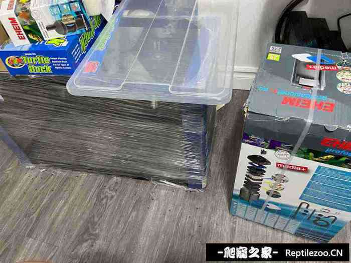 125132h0rx7gn3rn72ygf7.jpg