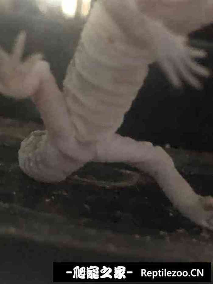 125358oqoykbrkslrljykz.jpg