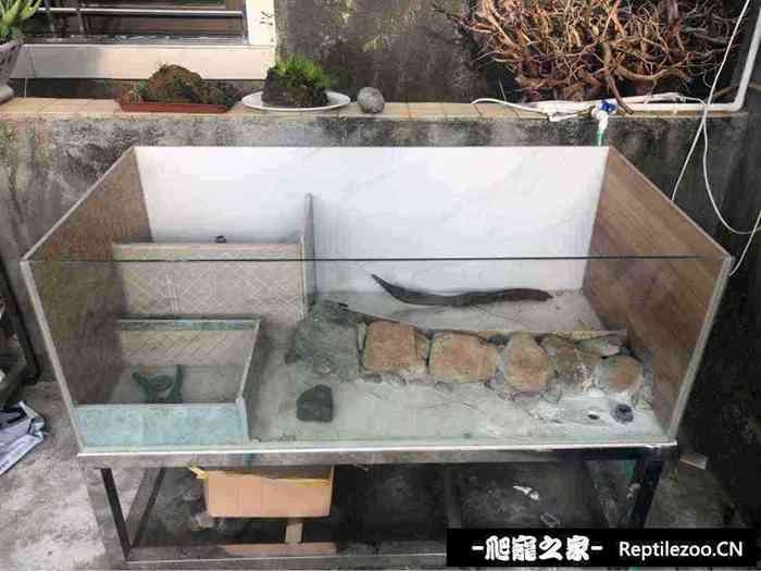 125514txjuago3ba3dwlug.jpg