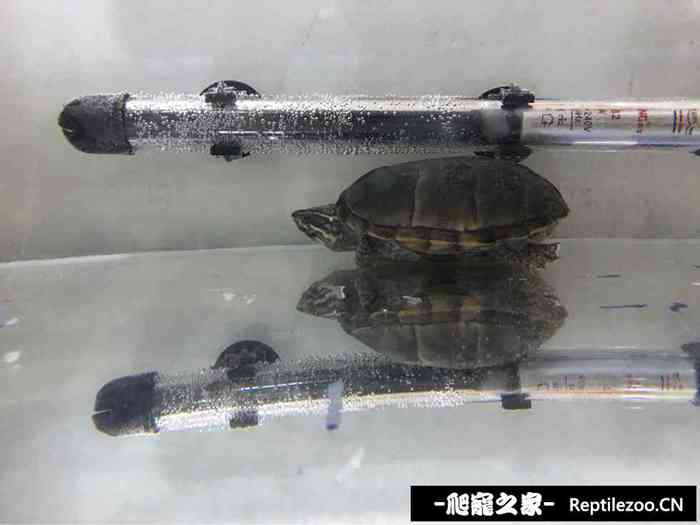 125642hmcp2m0gww0vl822.jpg