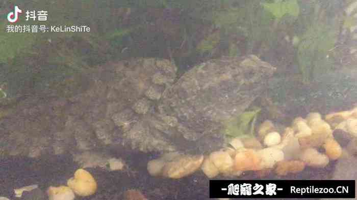 125653nz828s8fbl7l29b0.jpg
