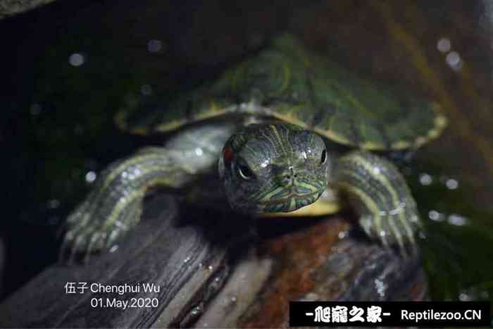 125827ici5in3u1ic36q4u.jpg