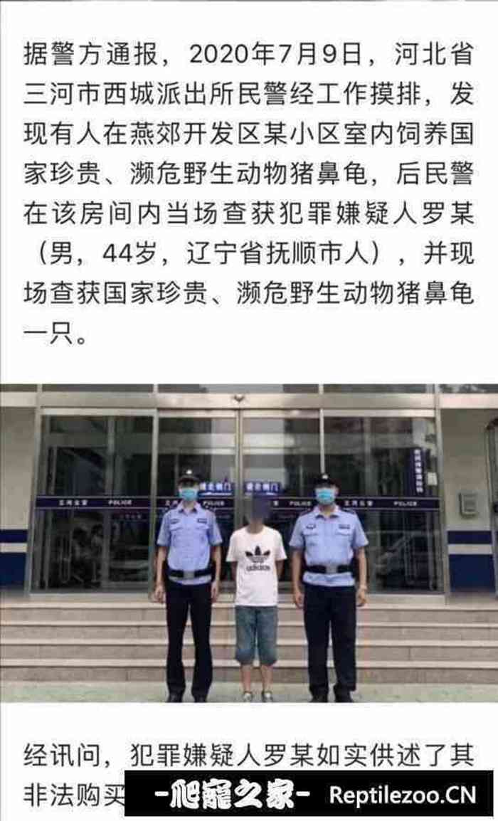 125914oxiujz9xihoswxs0.jpg