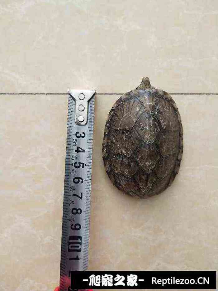 130041mybnb6t9kmmwzykm.jpg