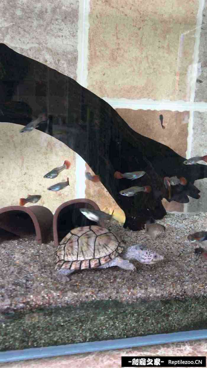 130119pcr52f0eeqcg753z.jpg