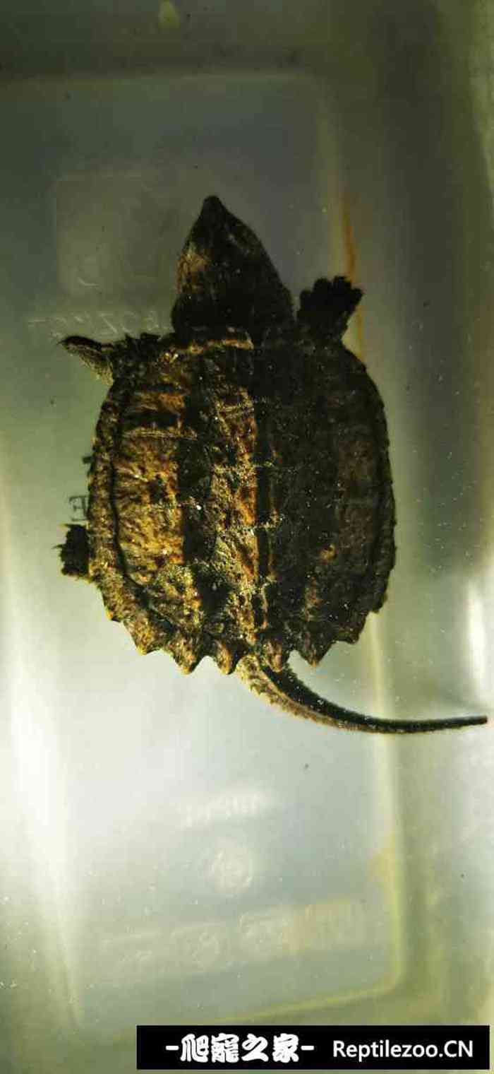 130127kf12rf0fhemzf60t.jpg
