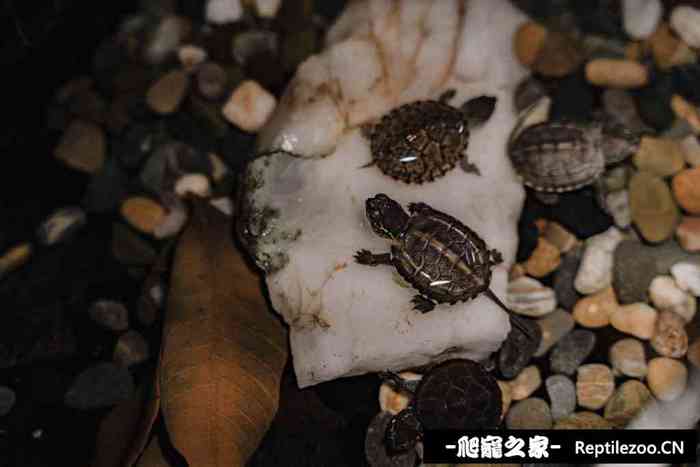 130220cqd067i4o0oz47of.jpg