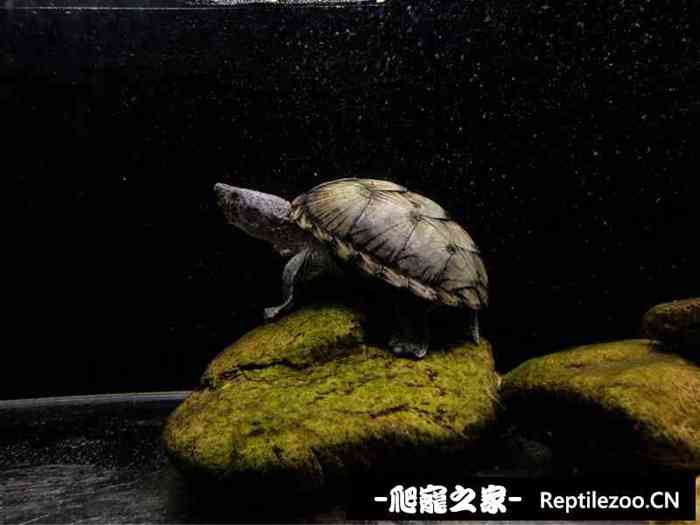 130231yzhiehdqqe7ipvwz.jpg