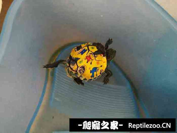 130240ld4ccqq6c43u8yi6.jpg