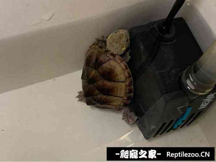 130302f9aah911xpta224z.jpg