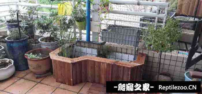 130306yuijgwdh8t0x8tdc.jpg