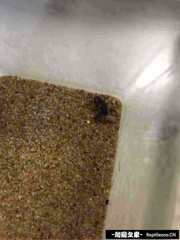 130321vnobpcw5nzus0bm5.jpg
