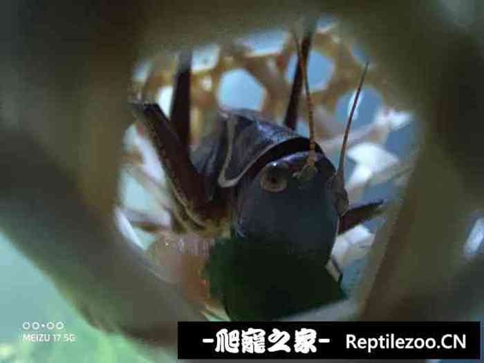 130333y4pm75ntjjjceggp.jpg