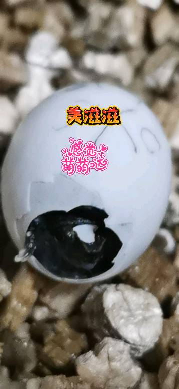 130430uy50dik66nc1d606.png