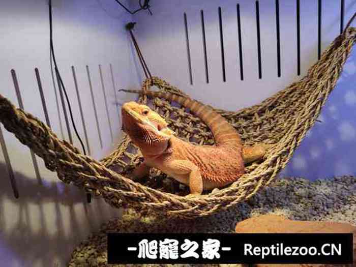 130506rxxax2d6d2a6ma0g.jpg
