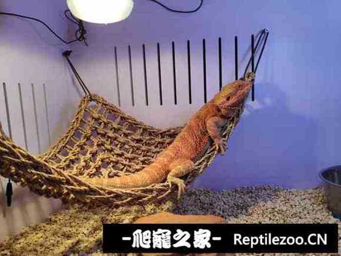 130507h5mif5djo75zfkaj.jpg
