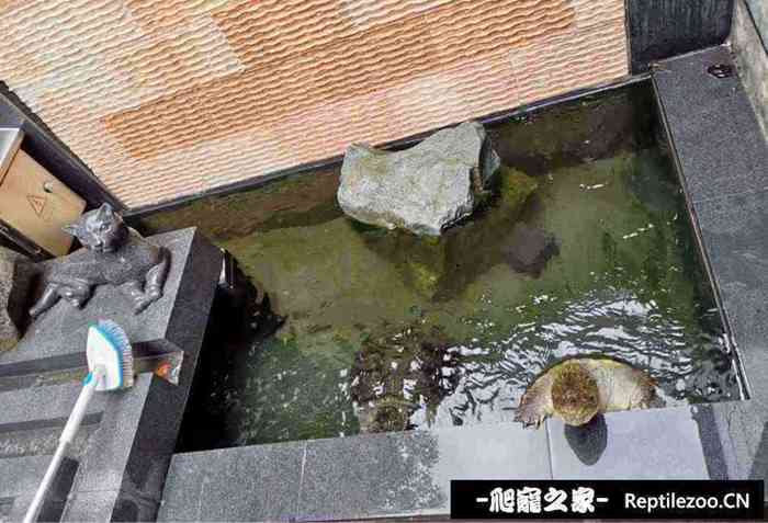 130510ujywscqqqsqys76q.jpg