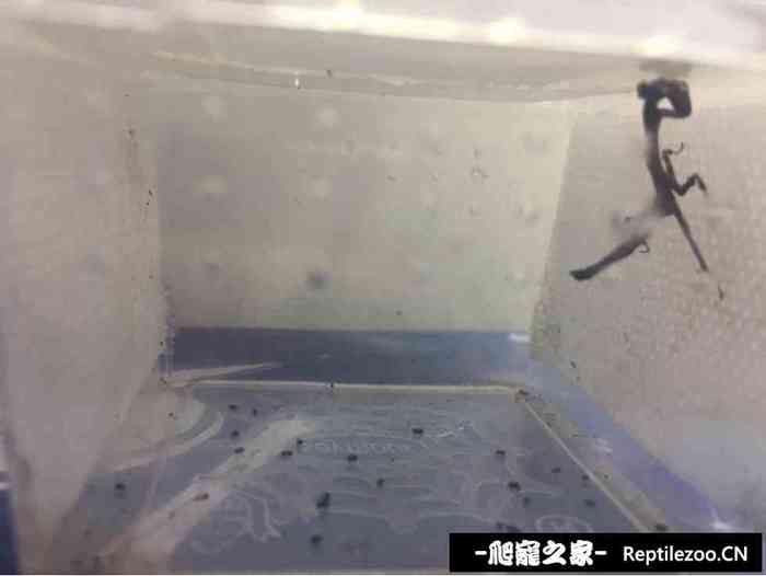 130702cuouo8iail9uoihi.jpg