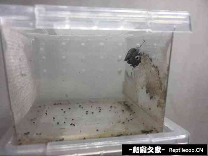 130702hzfwo3hcc0fpuhs3.jpg