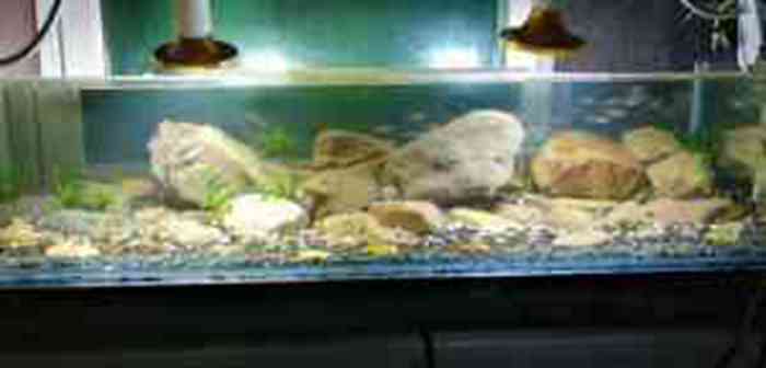 130734nf2yqricf8j99l00.jpg