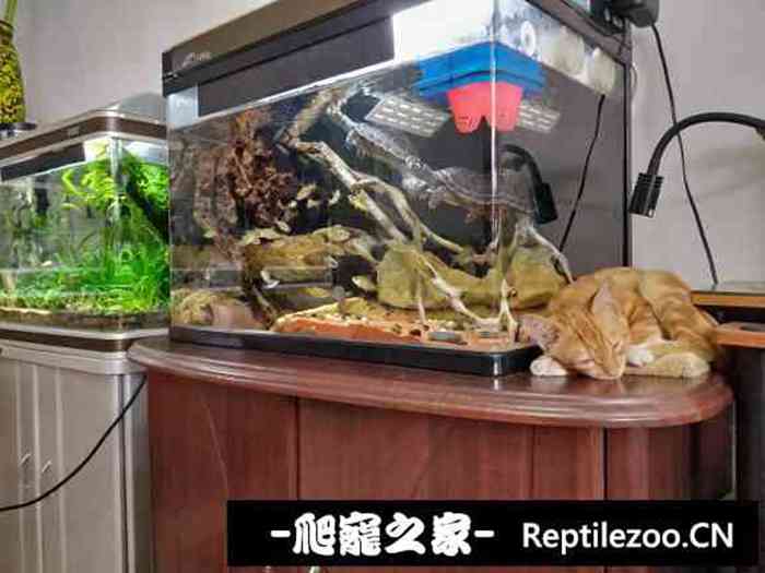 131019cwtwil0pwwwp2muk.jpg