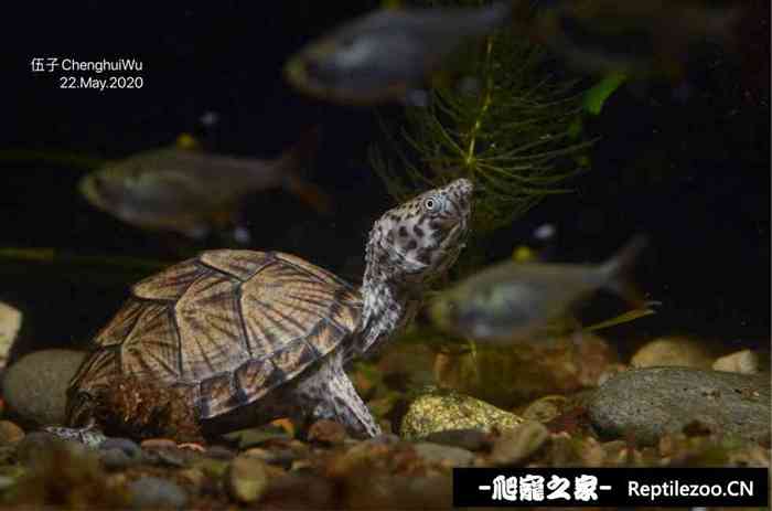 131201l2dwdjzie2vdoh8h.jpg