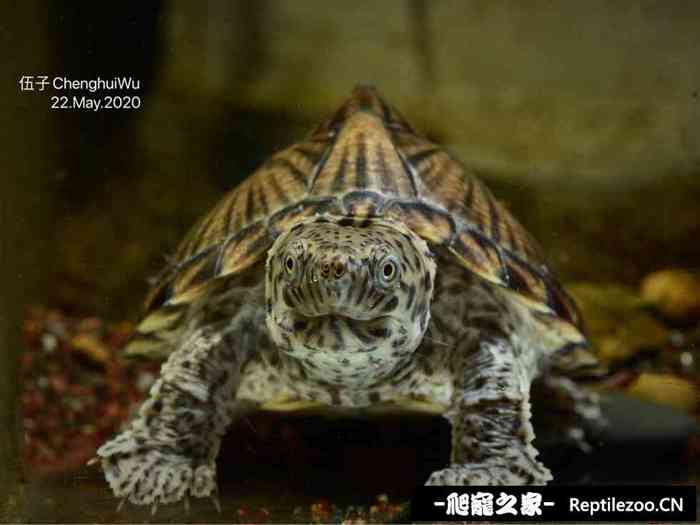 131203h2moow7czf8m2eoq.jpg