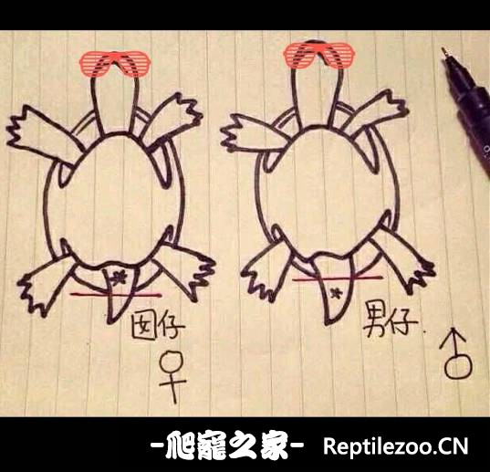 131215a8gd5eg5n7e7ssej.png