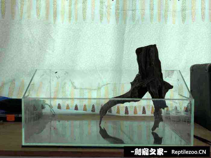 131231qz7lfm77o3d6yqqa.jpg