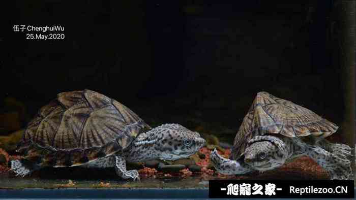 131404sls4os4o24j69csc.jpg