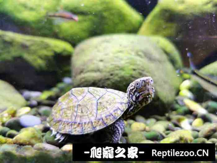 132216clqg2s2nilgg7yi0.jpg