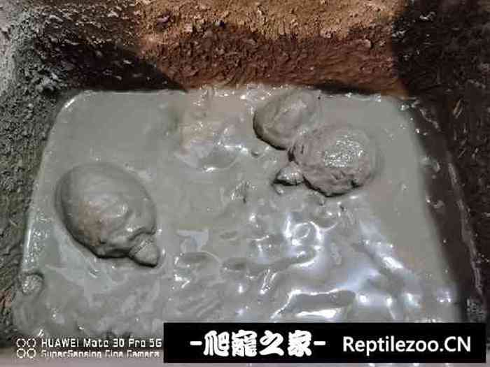 132405zen6uswh7pu69fq5.jpg
