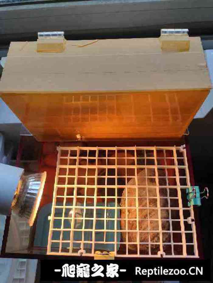 132506qvpv73001115v5pz.jpg