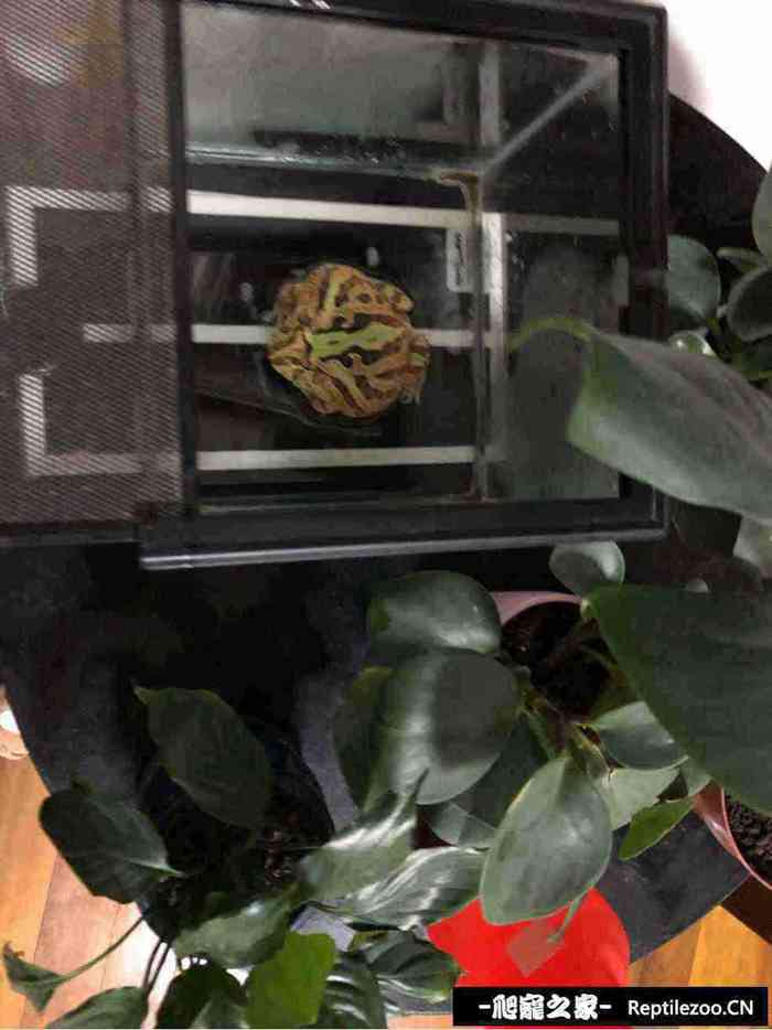 132623kg33i3tugabbzicg.jpg