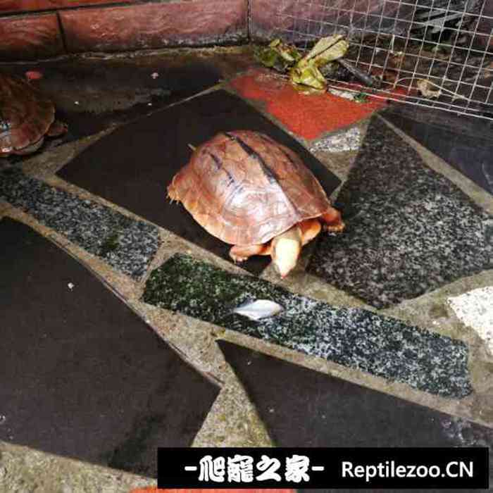 132657syyozss8425hhvqy.jpg