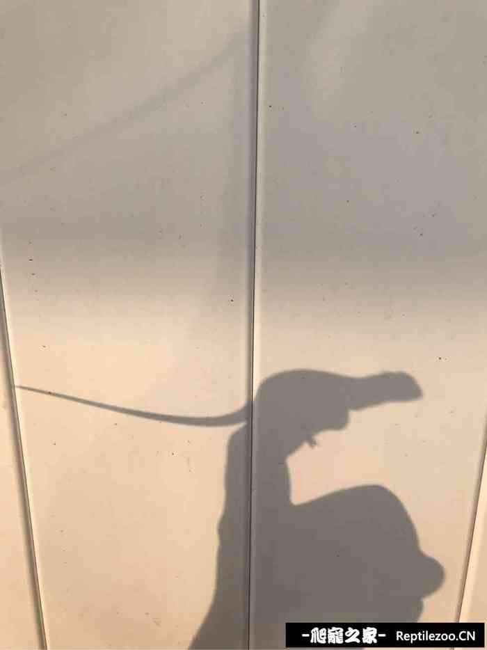 132748lspfq1fvq00vsqfq.jpg