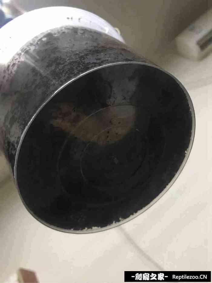 132808pu1c4naw3334ojzn.jpg