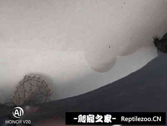 132842sb2bpkbtz42t4pq9.jpg