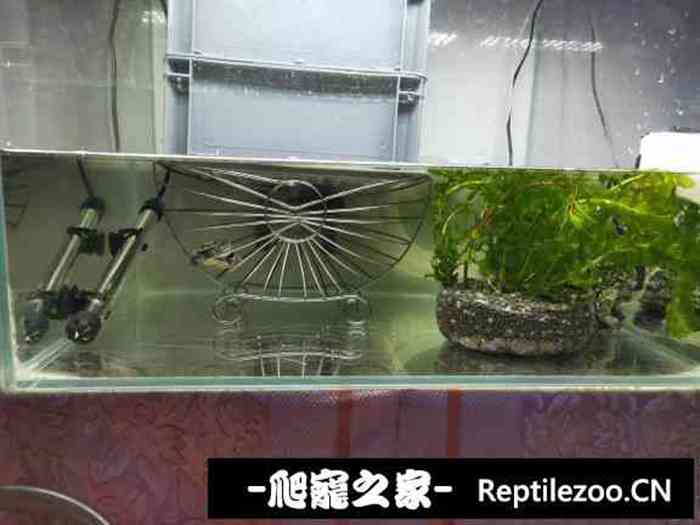 132847gh2mjek6pa6lp65b.jpg