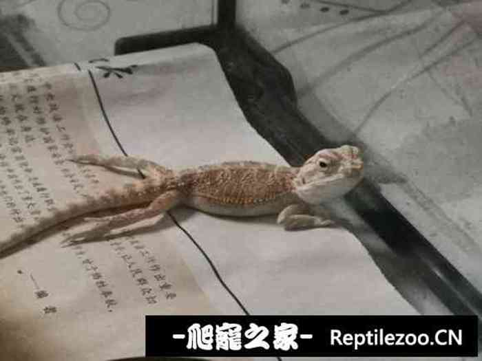 133016ib41x4qvczbzx2qd.jpg