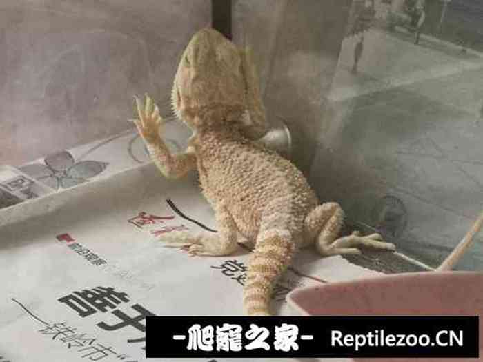 133027bjkqsfvu6uximxi3.jpg