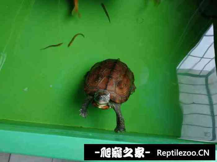 133218oghjlg4rghjryj28.jpg