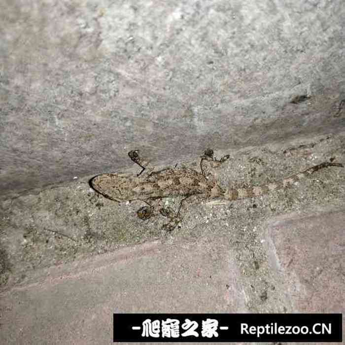 133245jqk0u0jpw2sspukw.jpg